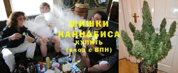 ПСИЛОЦИБИНОВЫЕ ГРИБЫ Киреевск