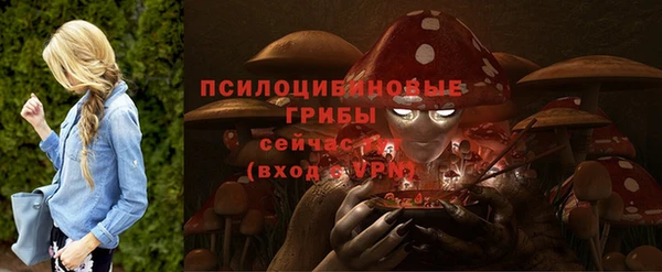 первитин Козловка
