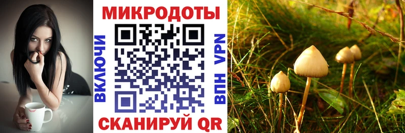Галлюциногенные грибы Cubensis  ссылка на мегу ССЫЛКА  Кизел 